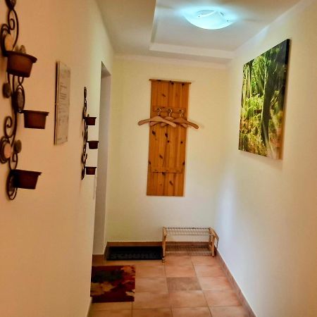 Ferienwohnung Im Landhaus Am Nationalpark Ludwigsthal Екстериор снимка