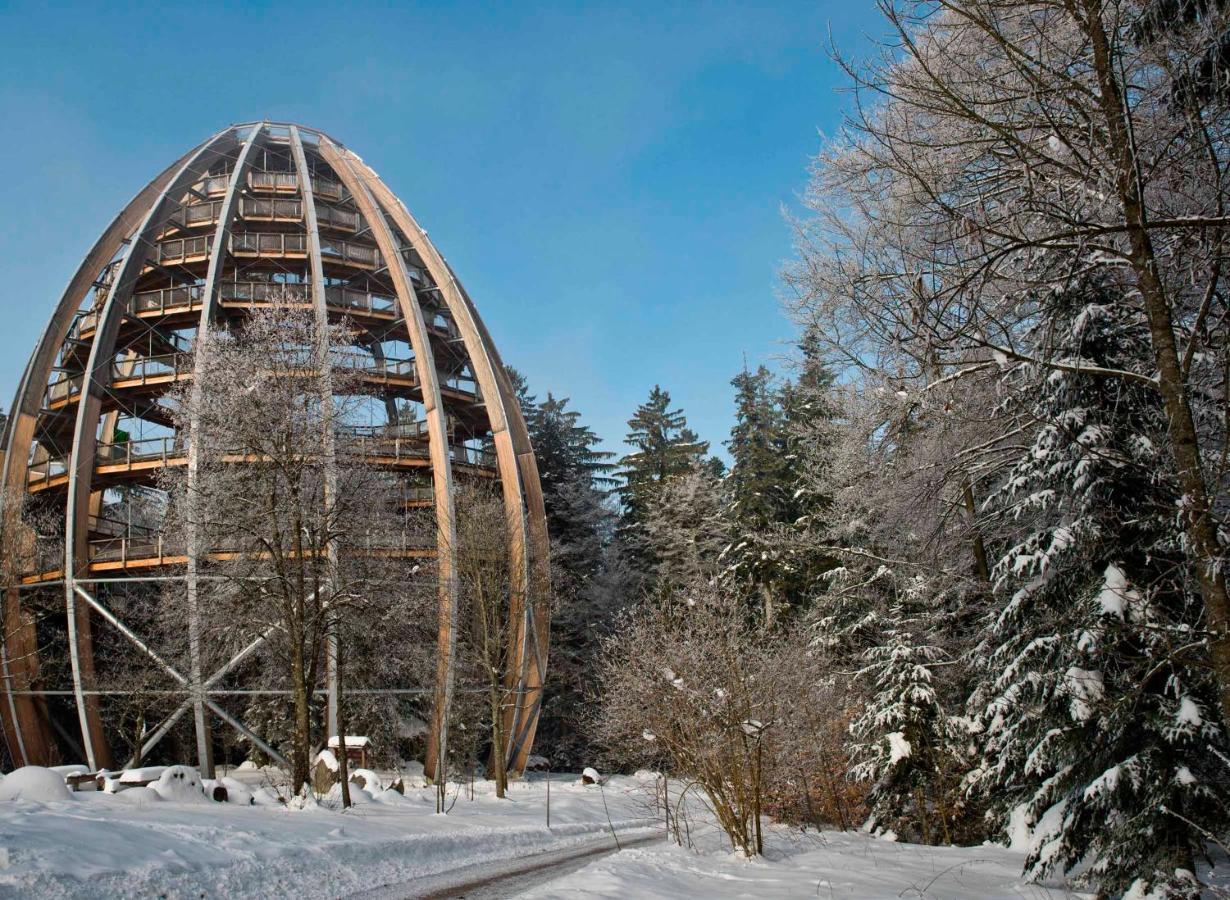 Ferienwohnung Im Landhaus Am Nationalpark Ludwigsthal Екстериор снимка