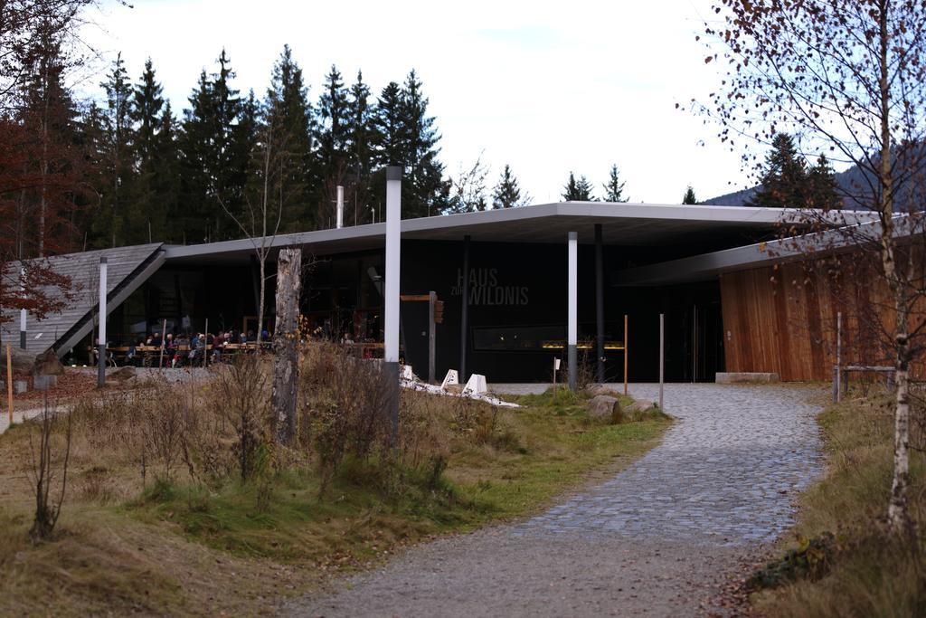 Ferienwohnung Im Landhaus Am Nationalpark Ludwigsthal Екстериор снимка