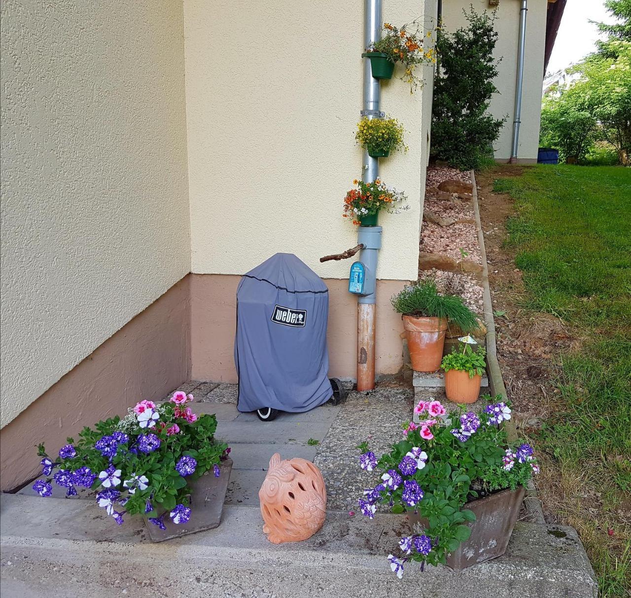 Ferienwohnung Im Landhaus Am Nationalpark Ludwigsthal Екстериор снимка